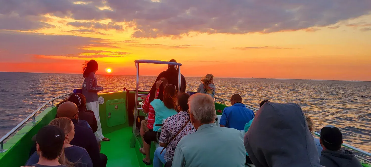 Sunset and Dolphin Cruise