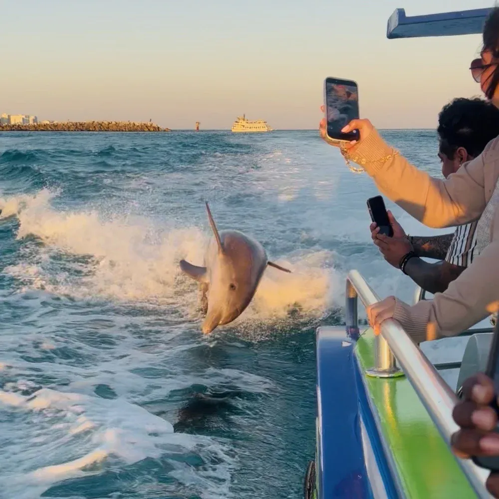 Guests on sunset cruise