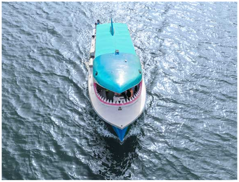 Shark Boat experience
